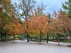 -元大都城垣遗址公园