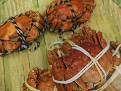 -蟹天蟹地农家菜·阳澄湖大闸蟹(浅水湾店)