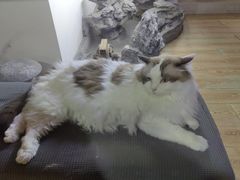 -白兔子密室(长寿路店)