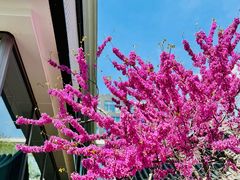 -魅KTV·AI辅唱(簋街店)
