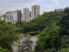 -鲤鱼塘农家山庄