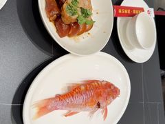 -吴记富苑(朝阳店)