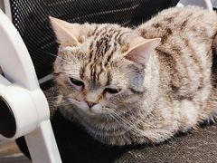 -神盾局科技密室(永川万达广场店)