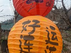 -桃源山庄·水蜜桃采摘·柴火鸡·烧烤团建(龙泉山店)