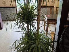 -周老三跷脚牛肉·全牛火锅(非遗传承店)