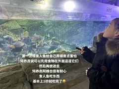 -泉城欧乐堡海洋极地世界