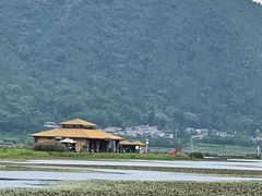 -腾冲北海湿地
