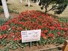 -济南植物园