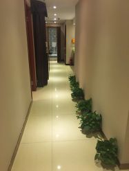 -唯伊美塑身美养连锁