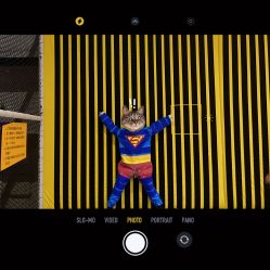 -AP爱蹦哒口袋屋蹦床公园(米房店)