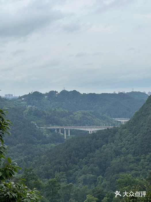 黔灵山公园图片