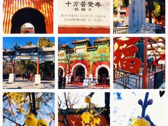 -国家植物园