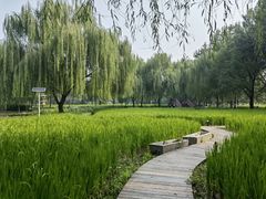 -北坞公园