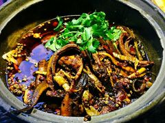 -听香·678茶铺(猛追湾店)