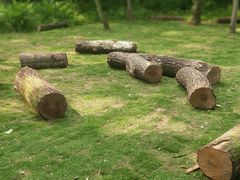 -西湖风景区-江洋畈生态公园