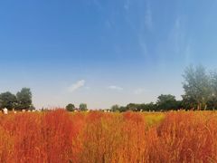 -汉长安城未央宫国家考古遗址公园