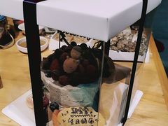 -EnergyCake蛋糕理想国