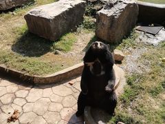 -无锡动物园·太湖欢乐园