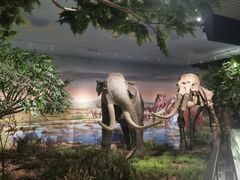 -湖南省地质博物馆