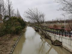 -上海长兴岛郊野公园