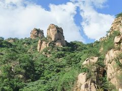 -大岭沟猕猴桃谷风景区