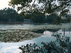 -荔湾湖公园