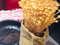 -麻路成都火锅(柏威年店)