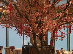 -金轩中餐厅 Jin Xuan(浦东丽思卡尔顿酒店)