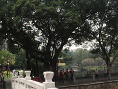 -晓港公园
