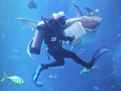 -太平洋海底世界