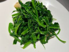 -许家菜(DT51店)