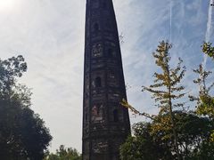 -上海佘山国家森林公园天马山园