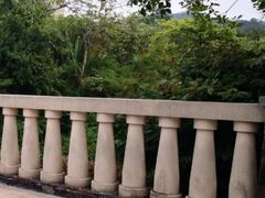 -碧桂园润杨溪谷温泉酒店