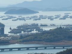-黄贤森林公园