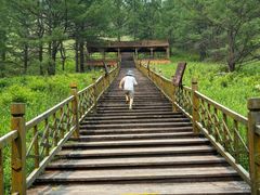 -莫尔道嘎国家森林公园