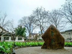 -绍兴鲁迅故里·沈园景区