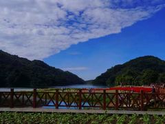 -广州市石门国家森林公园