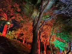 -水濂山森林公园