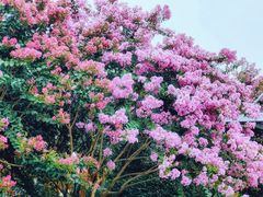 -杭州城北体育公园