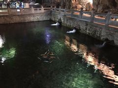 -咱家王新国把子肉(县东巷店)