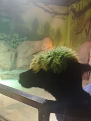 -酷嗒动物文化乐园(cutezoo西溪乐天城店)