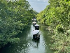 -西溪国家湿地公园