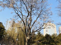 -团结湖公园