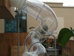 -妈咪的吻Mommy kiss国际托育中心(康桥融府店)