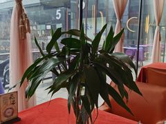 -赵小姐丨新中餐(曲江店)