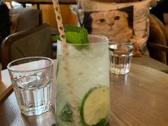 -咖法森林·咖啡  酒吧(天河店)