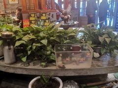 -万里闯关东铁锅炖菜馆(高新旗舰店)