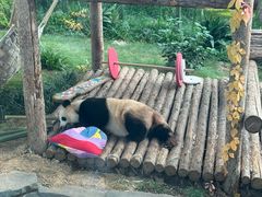 -大连森林动物园