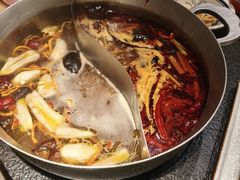 跑山鸡野菌锅拼酸辣锅底-滇牛云南火锅(桂林路店)