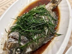 立鱼-巫记鸡饭店